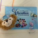 주식회사 댕아일랜드 | 일본 도쿄 디즈니랜드 베케이션 패키지 예약과취소 변경 솔직 후기