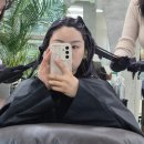 참진피부샵 | 강남미용실 르블라썸 강남점 레드와인 염색 후기