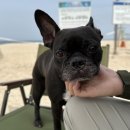 핵밥 고성1호점