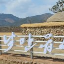 순천만쉼표2 이미지