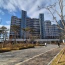 스타랜드 부동산중개 이미지