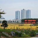 대림초교 병설유치원 이미지