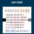 삼광사 | 2025 부산 삼광사 연등축제 후기