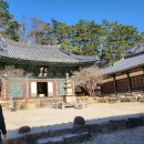 따스하개 이미지