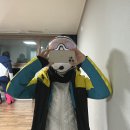 블리스힐 유스호스텔 | 220128 용평리조트(feat.3X PASS시즌권)+용평 블리스힐 숙박 후기, 스키장 비교