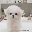 작고 소중해 이미지