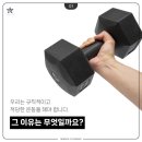 용인대 흑룡합기도 이미지