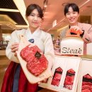 정(情) 소담 스포츠경향