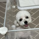 나만믿어아잉 이미지