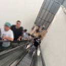 현대신성모터스(주) | 국립현대미술관 서울 데미안 허스트 주말 일요일 주차 후기