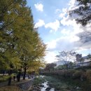 호반택시(주) | 11월2일 단풍현황 당일치기 관광택시 배론성지 용추폭포 청풍호반케이블카 빨간오뎅 아사감자탕 정선...