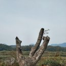 원주굽이길 7코스 고바우길 이미지