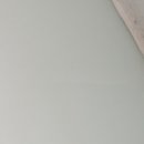 네플란트치과의원 이미지