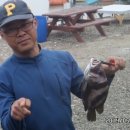 k3바다낚시터 이미지