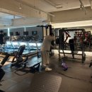 레디 바디 이미지