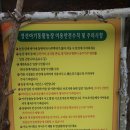 정선아기동물농장 이미지