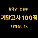 다빈치창의수학교습소