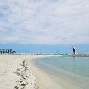 병곡1리 고래불해수욕장 이미지