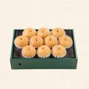 대란과일 이미지