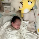 가온보건케어｜산후도우미 내돈내산 2주 후기(+ 3일 연장)