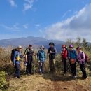 한라산둘레길 돌오름길 이미지