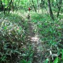 제주 물장오리오름 이미지