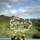 다이소개신 | [제주] 체크아웃 이후 수영장 사용 가능한 가성비 5성급 호텔 히든클리프 내돈내산 솔직 후기, 꿀팁