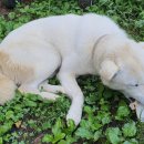 장덕농원 이미지