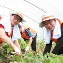 두자매PC 이미지