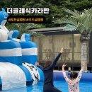 농업회사법인 신선미세상 | 서울근교 포천카라반 글램핑 대형 수영장 물놀이 아이와 함께 더클래식