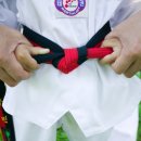 전진태권도 이미지