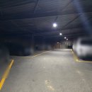 동백코스(서천-군산) 이미지