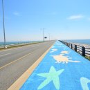 어린이교통공원 이미지