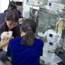 노아시스템(주) 이미지