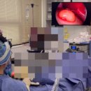 초이성형외과의원 이미지