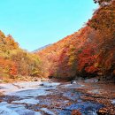 밀양 쇠점골-능동산.. 단풍 보러... 이미지