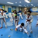 용인대 송향태권도장 이미지