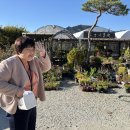 배향미, 취미(비올레)25-11, 달콤한 머핀의 오후 이미지