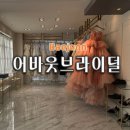 대덕대로-3 | 세미앙 웨딩스냅 연계 어바웃브라이덜 촬영 드레스 셀렉 후기