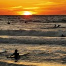 만리포니아 이미지