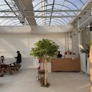 알로3 농장 이미지