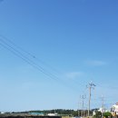 표선예초기