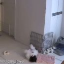 멈무아지트 이미지