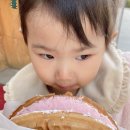 와플대학진해석동캠퍼스