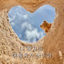 미르 스크린골프 | 공놀이에 미친일상🐻🌀