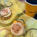 푸르고플래닛 | [W.71] 신혼여행일기 11 🇺🇸 - 캐년투어 LV투어 1박2일투어 1일차 솔직후기 (라스베가스 출발)