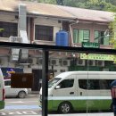 멋장이 | 코타키나발루 반딧불투어 내돈내산 후기 (가격, 코스, 가이드 추천)