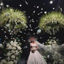 예도음악학원 | [w42] 본식후기(9): 여의도웨딩컨벤션 본식 솔직후기 (긴 글 주의)