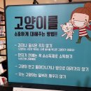 냥냥만화카페