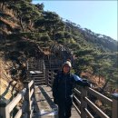 제593차(12기-17차/18.02.24) 괴산 성불산(520m)시산제 정기산행 이미지